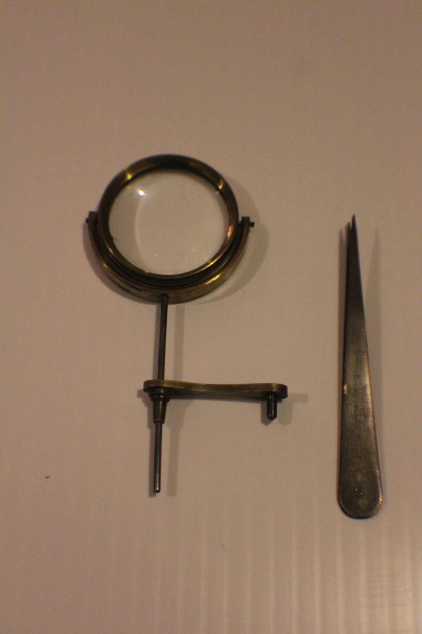 ~ENGLISH DRUM/BOTANICAL PARTS C.1850~